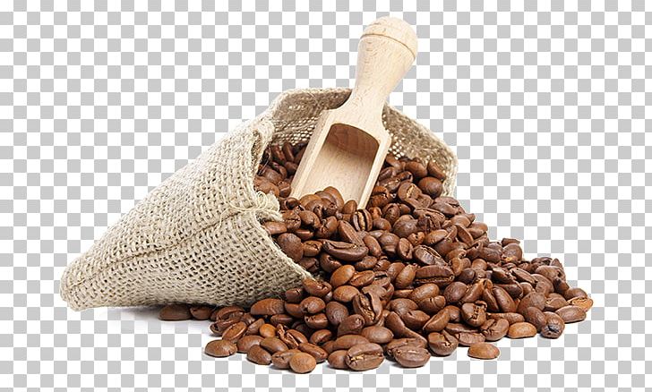 Coffee Bean Cafe Tea Caffeine PNG, Clipart, Barista, Cafe, Caffeine, Chocolate, Cocoa Bean Free PNG Download