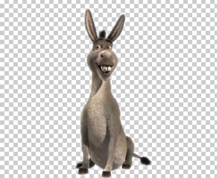 Donkey Shrek The Musical Princess Fiona Shrek Film Series PNG, Clipart, Animals, Antonio Banderas, Domestic Rabbit, Donkey, Fauna Free PNG Download