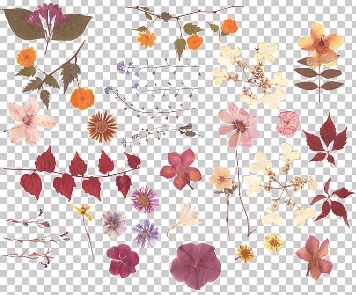 Pressed Flower Craft Nosegay Flower Bouquet PNG, Clipart, Branch, Craft, Creativity, Cut Flowers, Decorative Patterns Free PNG Download