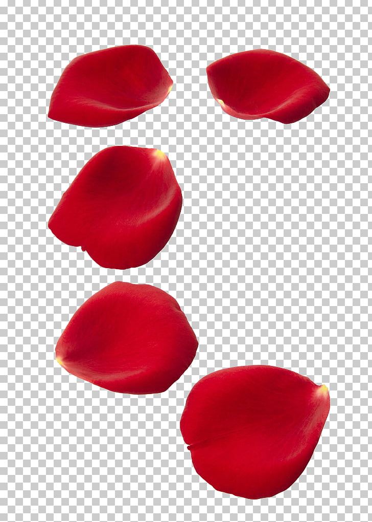 Rose Petal Stock Photography Flower PNG, Clipart, Clip Art, Float, Flower, Flower Pattern, Flowers Free PNG Download