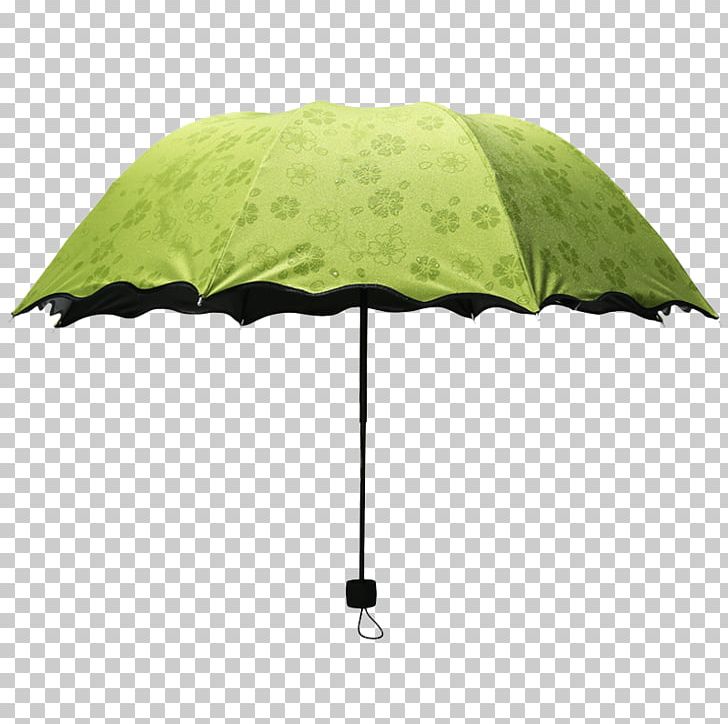 Umbrella Auringonvarjo PNG, Clipart, Auringonvarjo, Background Green, Concepteur, Data, Designer Free PNG Download