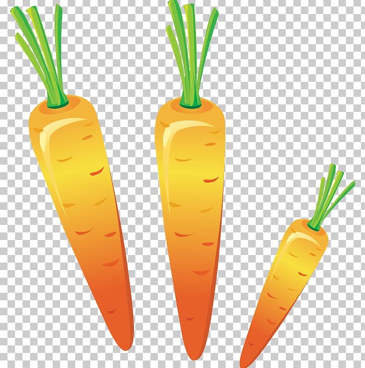 Carrot PNG, Clipart, 3d Computer Graphics, Carrot, Carrot Creative, Carrot Juice, Clip Art Free PNG Download