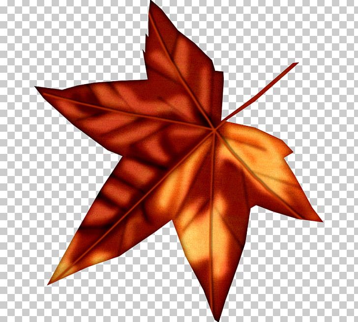 Maple Leaf Photography Paper PNG, Clipart, Bisou, Bokeh, Fee, Fineart Photography, Fleur Free PNG Download