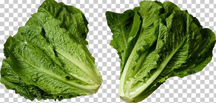 Romaine Lettuce Salad E. Coli Food PNG, Clipart, Cabbage, Caesar Salad, Chard, Chicory, Collard Greens Free PNG Download