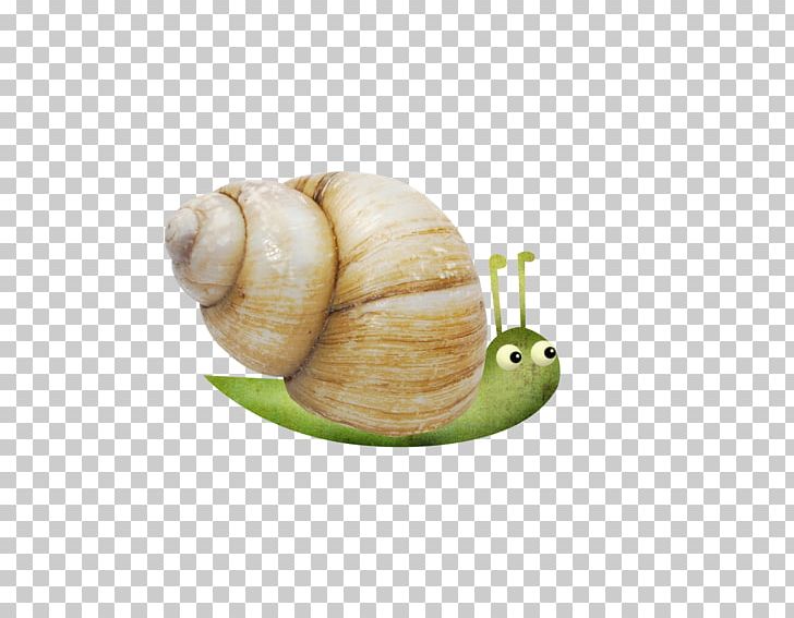 Snail Escargot Orthogastropoda PNG, Clipart, Animals, Cartoon, Download, Encapsulated Postscript, Escargot Free PNG Download