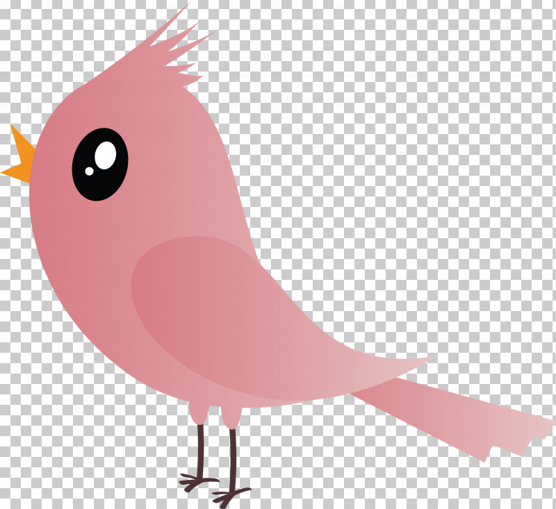 Bird Pink Beak Cartoon Tail PNG, Clipart, Beak, Bird, Cartoon, Cartoon Bird, Cute Bird Free PNG Download