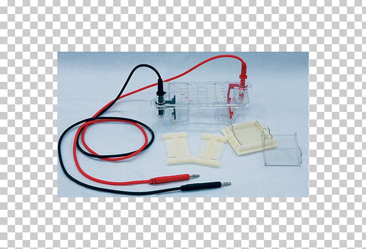 Agarose Gel Electrophoresis PNG, Clipart, Acid Dissociation Constant, Agarose Gel Electrophoresis, Angle, Biology, Cable Free PNG Download