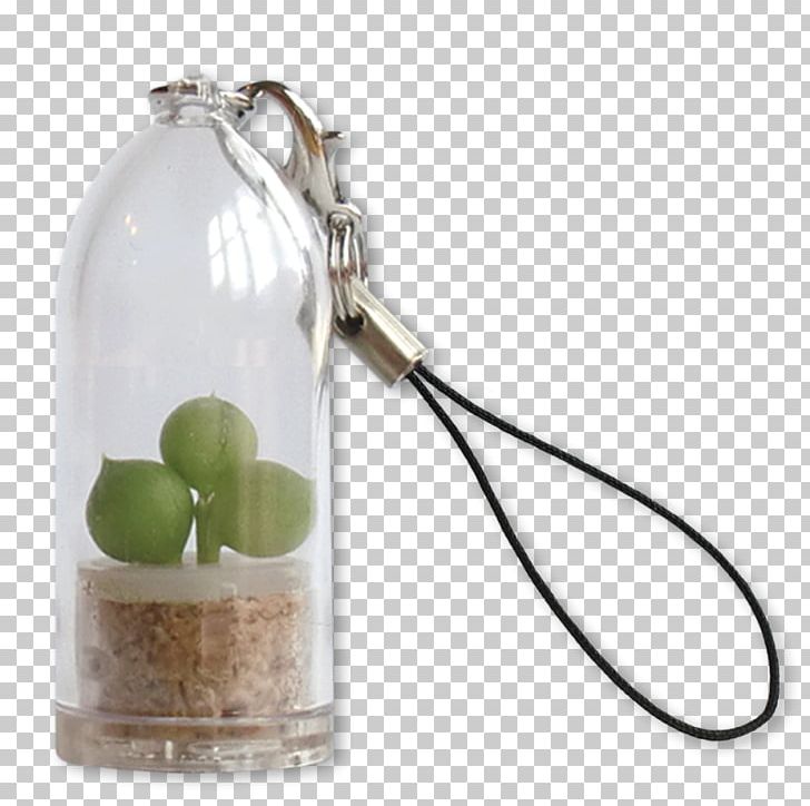 Key Chains Cactaceae Plant Keyring PNG, Clipart, Bottle, Cactaceae, Chain, Drinkware, Ecology Free PNG Download