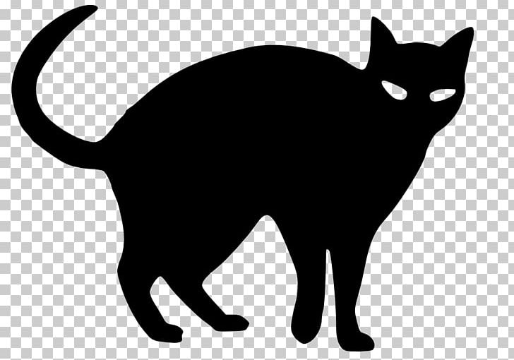 Black Cat Halloween Drawing PNG, Clipart, Animals, Black, Black And White, Black Cat, Carnivoran Free PNG Download
