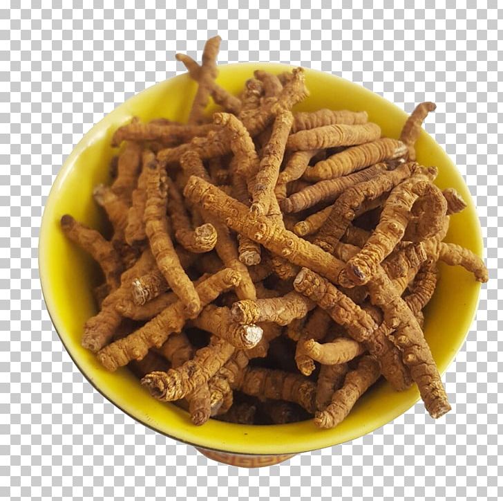 Nagqu Cordyceps Militaris Caterpillar Fungus Traditional Chinese Medicine PNG, Clipart, Animals, Animal Source Foods, Caterpillar Fungus, Chinese, Chinese Lantern Free PNG Download