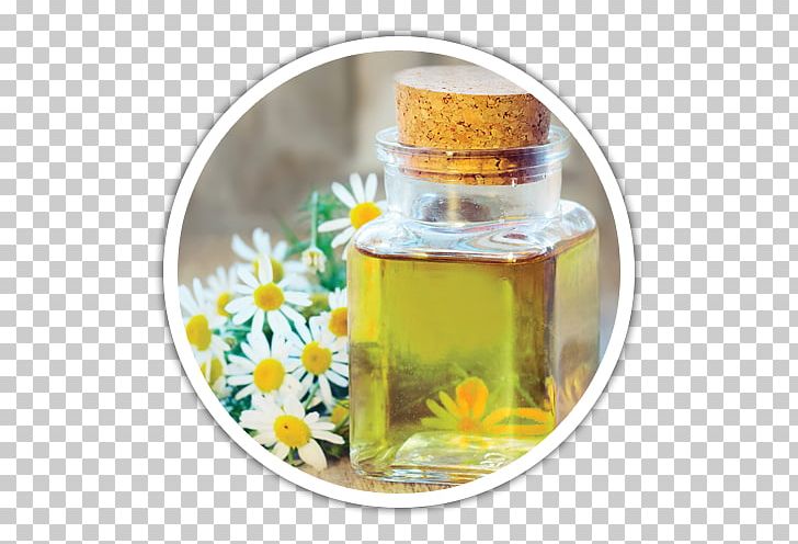 Tea Roman Chamomile Essential Oil PNG, Clipart, Apricot Oil, Aromatherapy, Bottle, Chamomile, Citroenolie Free PNG Download