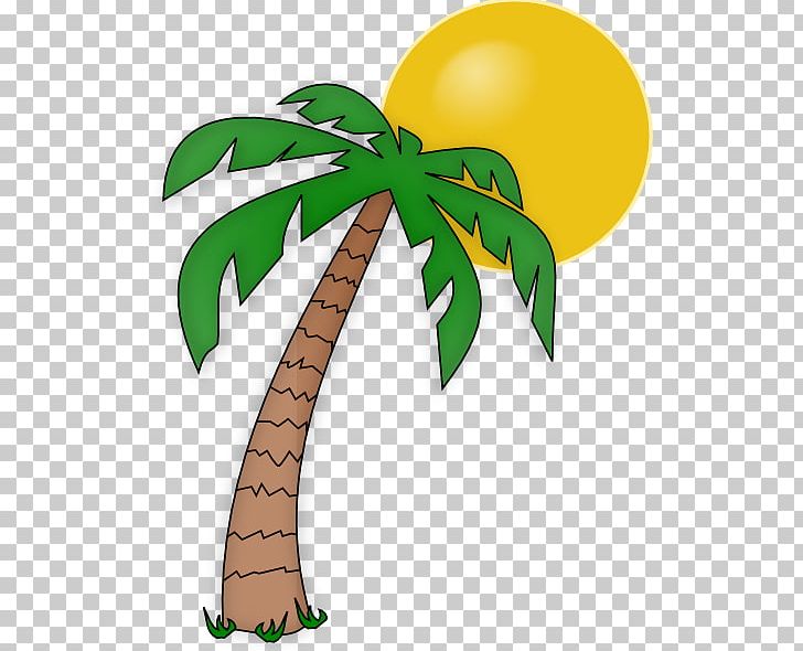 Arecaceae Tree Date Palm PNG, Clipart, Arecaceae, Blog, Cartoon, Coconut, Copyright Free PNG Download