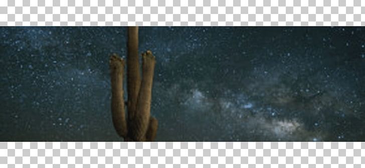 Saguaro Wood Cactaceae /m/083vt Raphoto PNG, Clipart, Cactaceae, Desert Sky, M083vt, Milky Way, Photographique Free PNG Download