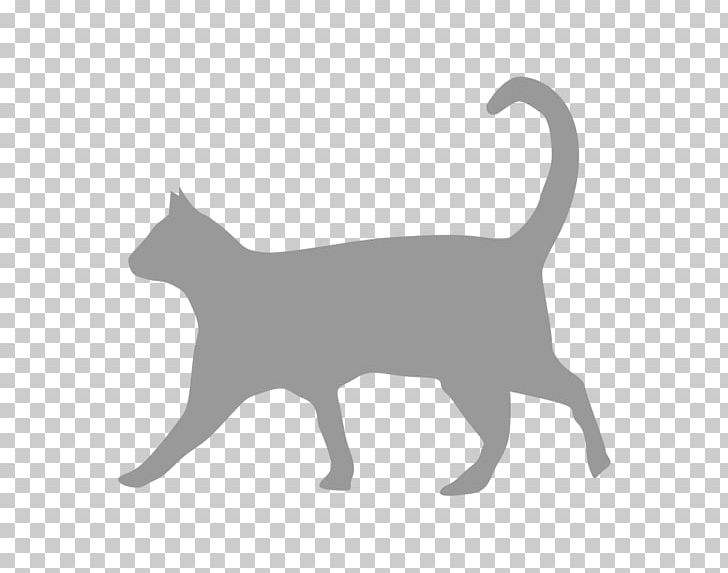 Cat Food Felidae Hyperthyroidism Feral Cat PNG, Clipart, Animals, Black, Black And White, Black Cat, Carnivoran Free PNG Download