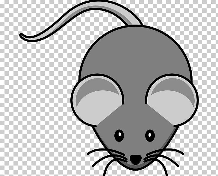 Computer Mouse House Mouse Rat Free Content PNG, Clipart, Artwork, Black, Carnivoran, Cat Like Mammal, Computer Free PNG Download
