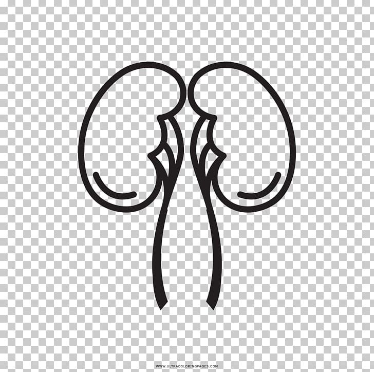 kidneys clipart black and white tree