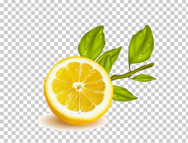 Lemon-lime Drink Rangpur Citrus Junos PNG, Clipart, Bitter Orange, Citric Acid, Citron, Citrus, Citrus Junos Free PNG Download