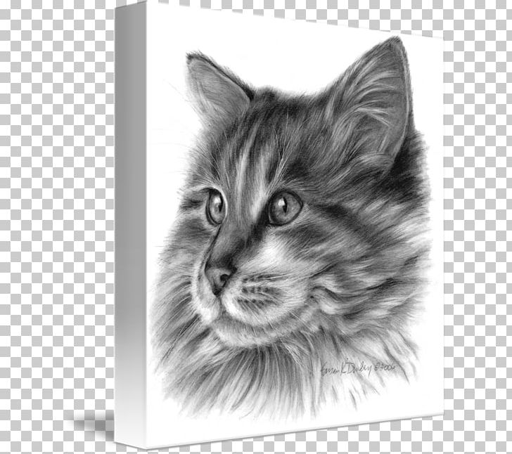 Maine Coon Norwegian Forest Cat Nebelung Domestic Long-haired Cat Whiskers PNG, Clipart, Animals, Artwork, Black, Carnivoran, Cat Like Mammal Free PNG Download