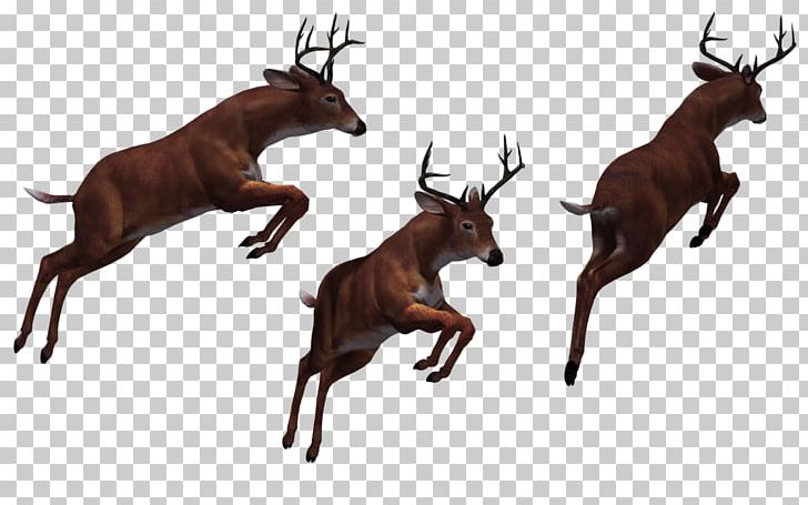 Reindeer Antler White-tailed Deer PNG, Clipart, 3d Computer Graphics, Antler, Brown, Cartoon, Deer Free PNG Download