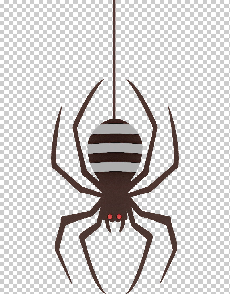 Spider Halloween PNG, Clipart, Arachnid, Decapoda, Halloween, Insect, Pest Free PNG Download