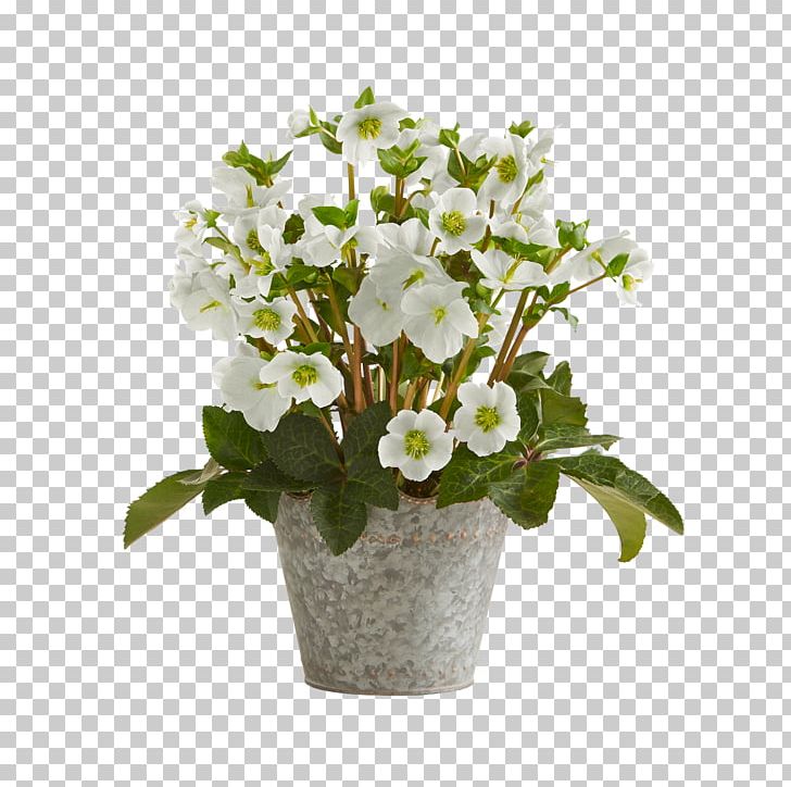 Cut Flowers Flower Bouquet Blume Portable Network Graphics PNG, Clipart, Artificial Flower, Blume, Blumenversand, Cut Flowers, Floral Design Free PNG Download
