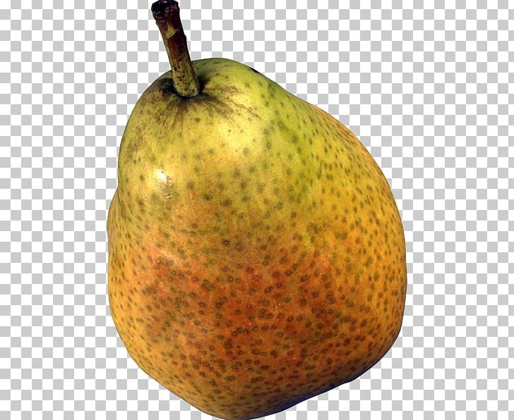 Photography Papa Pear Saga PNG, Clipart, Accessory Fruit, Apple, Armut, Armut Resimleri, Computer Icons Free PNG Download