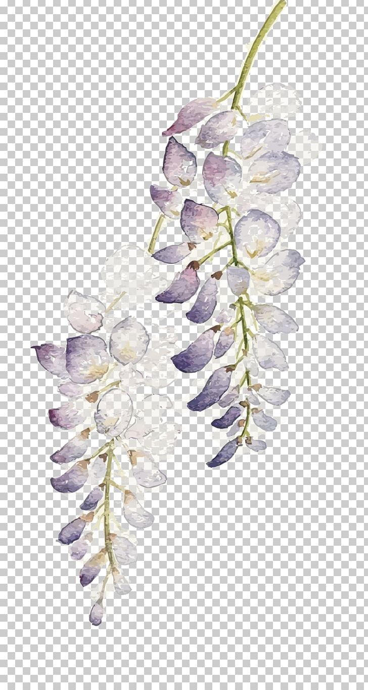 Flower Watercolor Painting Wisteria Floribunda PNG, Clipart, Art, Blossom, Decorative Patterns, Drawing, Flora Free PNG Download