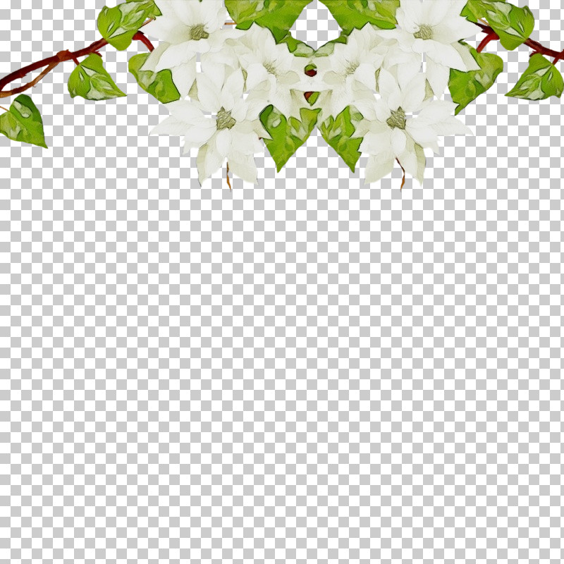 Ivy PNG, Clipart, Bougainvillea, Flower, Ivy, Leaf, Paint Free PNG Download