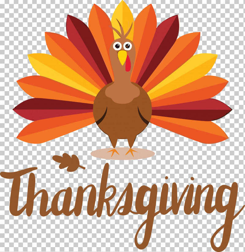 Thanksgiving PNG, Clipart, Chicken, Holiday, Poultry, Pumpkin, Royaltyfree Free PNG Download