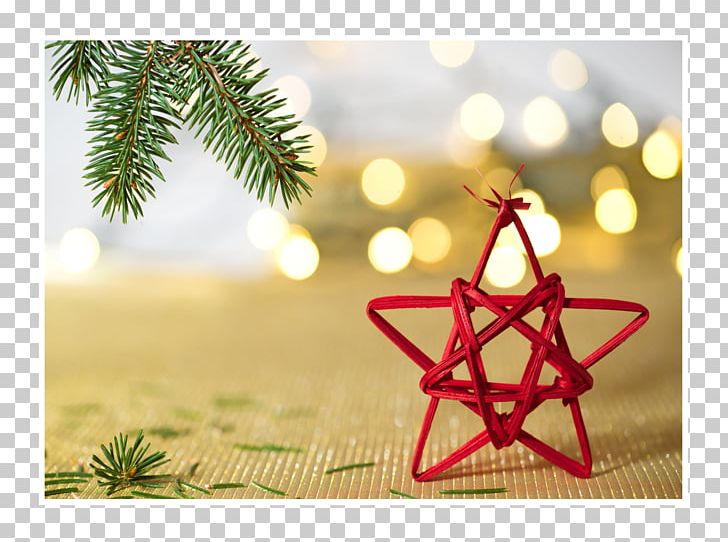 Christmas Ornament Stock Photography Red Star PNG, Clipart, Branch, Christmas, Christmas Decoration, Christmas Ornament, Discounts And Allowances Free PNG Download