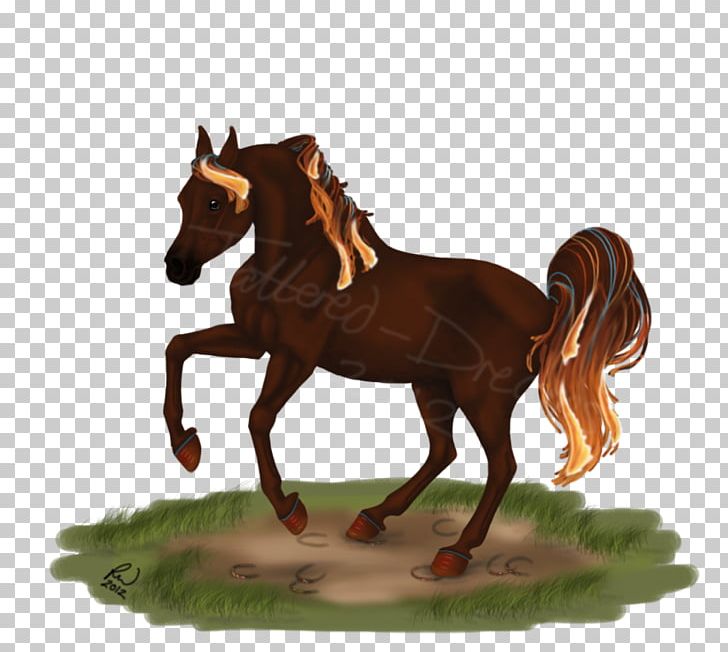 Mustang Foal Mare Stallion Rein PNG, Clipart,  Free PNG Download