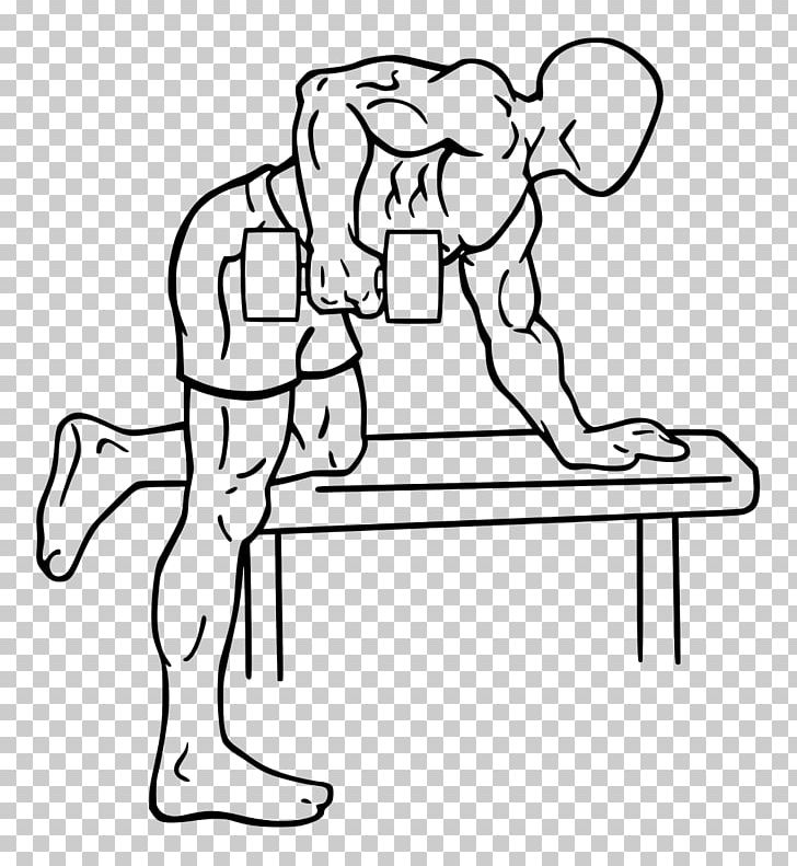Rear Delt Raise Deltoid Muscle Bent-over Row Dumbbell PNG, Clipart, Arm, Art, Bench, Bentover Row, Biceps Free PNG Download