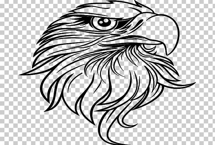 Bald Eagle Black-and-white Hawk-eagle Drawing PNG, Clipart, Art, Artwork, Bald Eagle, Beak, Bird Free PNG Download