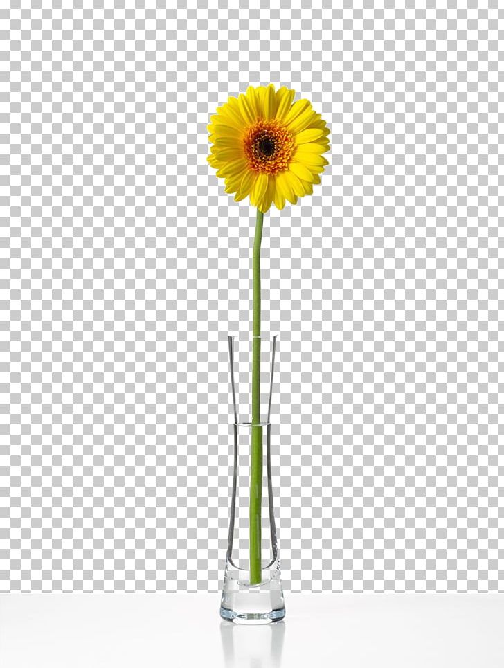 Transvaal Daisy Flower Bottle Chrysanthemum PNG, Clipart, Cut Flowers, Daisy Family, Euclidean Vector, Floristry, Flower Bouquet Free PNG Download