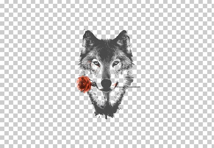 Arctic Wolf HTC Desire HD High-definition Video Display Resolution PNG, Clipart, 1080p, Animals, Arrow Sketch, Avatar, Black Wolf Free PNG Download