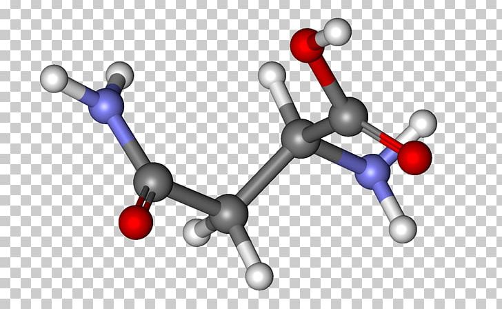 Asparagine Amide Amino Acid Aspartic Acid Codon PNG, Clipart, Acid, Advanced Audio Coding, Amide, Amino Acid, Amino Talde Free PNG Download