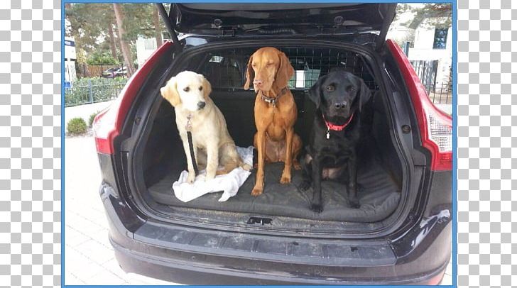 Dog Breed Vizsla Sporting Group Car Door PNG, Clipart, Automotive Exterior, Baby Toddler Car Seats, Breed, Car, Car Door Free PNG Download