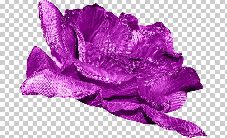 Flower Beach Rose Purple Petal PNG, Clipart, Beach Rose, Bud, Cut Flowers, Download, Fairy Tale Free PNG Download