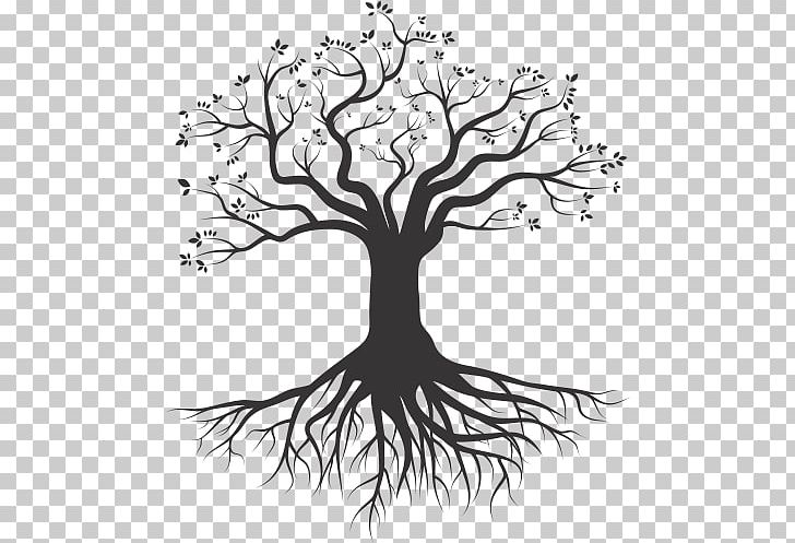 Tree Root Silhouette Drawing PNG, Clipart, Art, Artwork, Black And White, Branch, Download Free PNG Download