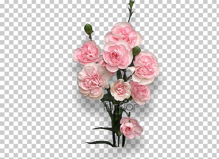 Cut Flowers Turflor Floral Design Garden Roses PNG, Clipart, Artificial Flower, Carnation, Centifolia Roses, Cut Flowers, Floral Design Free PNG Download