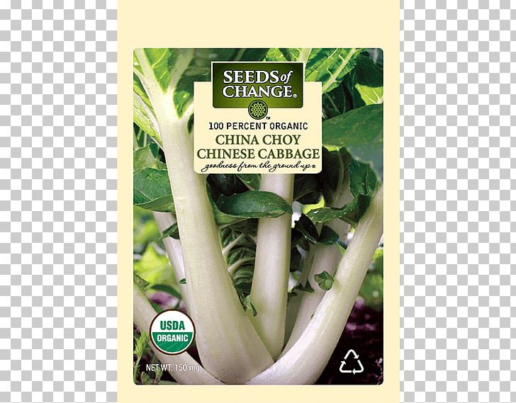 Chard Chinese Cabbage Chinese Cuisine Choy Sum Herb PNG, Clipart, Bok Choy, Brassica, Brassica Rapa, Chard, Chinese Cabbage Free PNG Download