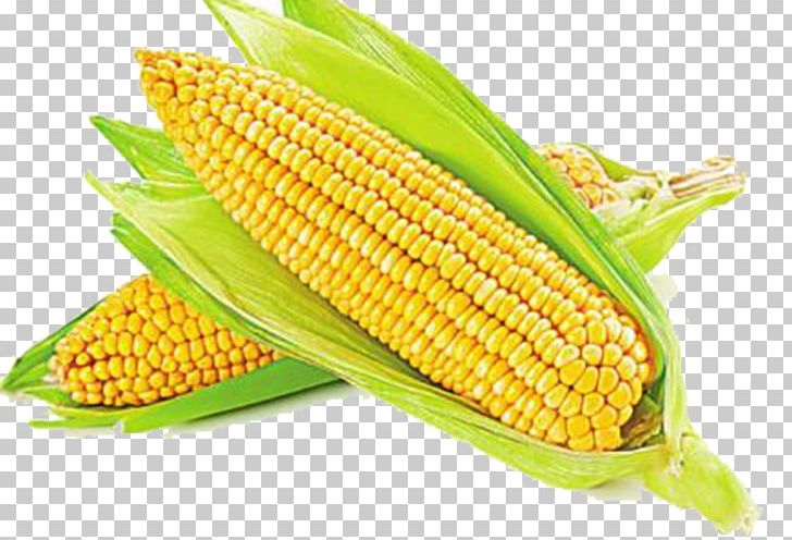 Maize Vegetable Ear Sweet Corn Photography PNG, Clipart, Cartoon Corn, Caryopsis, Commodity, Corn, Corn Field Free PNG Download