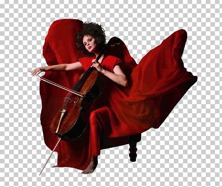 Cello Double Bass Violin Musical Instruments PNG, Clipart, Bowed String Instrument, Cellist, Cello, Clive Arrowsmith, Double Bass Free PNG Download