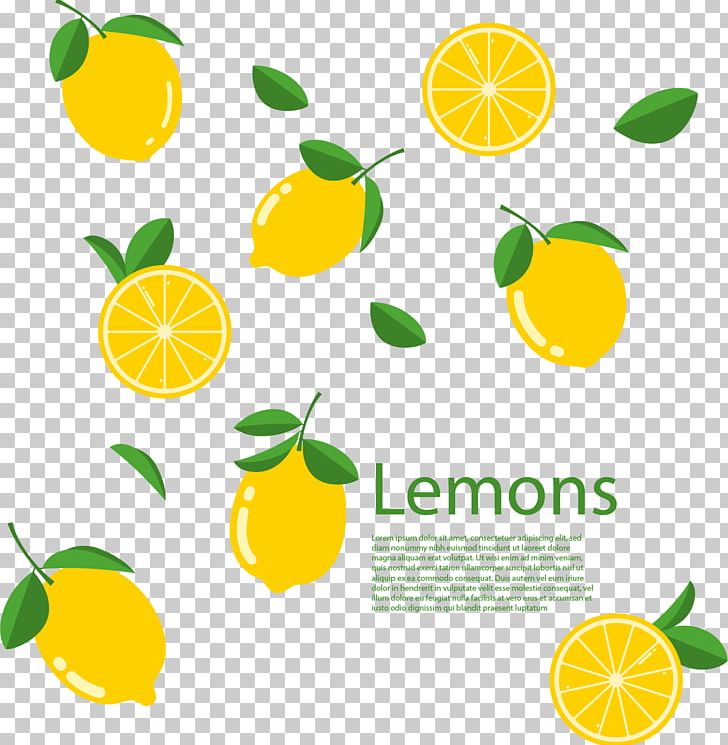 Lemon Lime Euclidean Citron PNG, Clipart, Auglis, Cartoon, Citric Acid, Citrus, Citrus Junos Free PNG Download