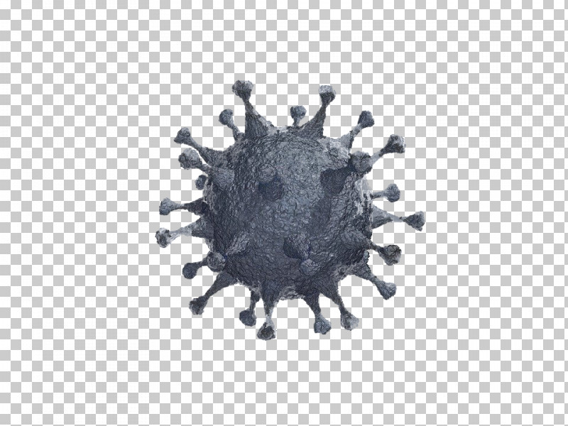 COVID19 Coronavirus Virus PNG, Clipart, Coronavirus, Covid19, Logo, Virus Free PNG Download
