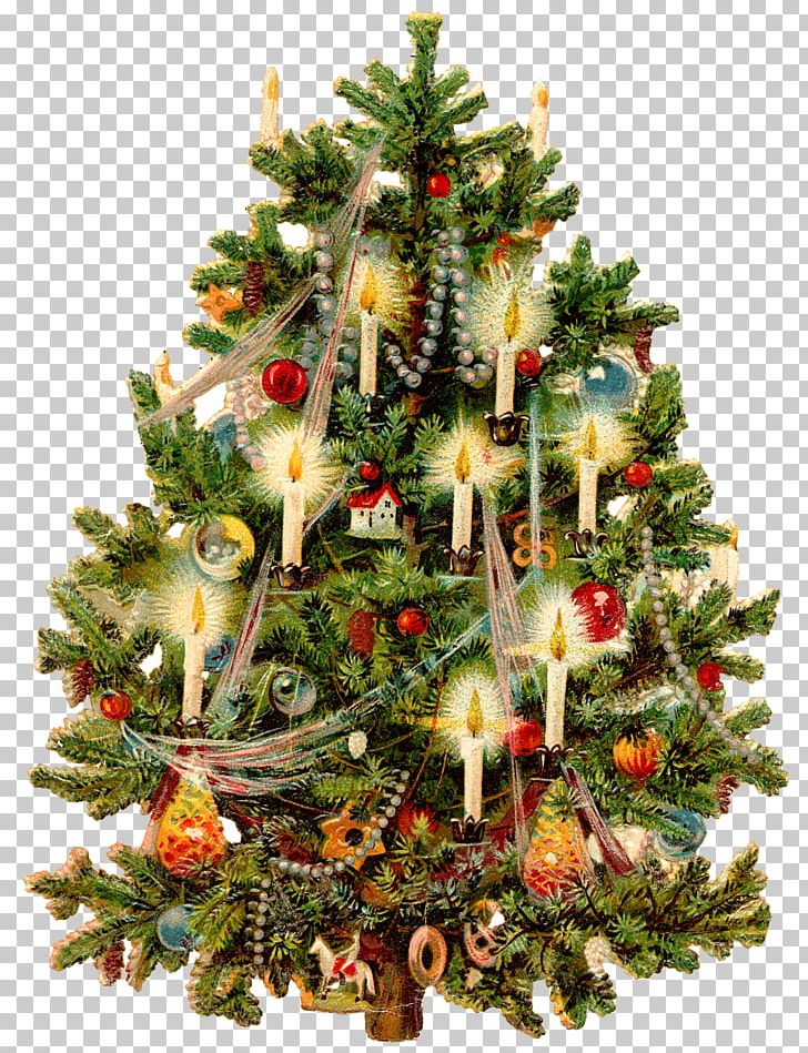 Christmas Tree Christmas And Holiday Season PNG, Clipart, Advent Calendars, Candle, Christmas, Christmas And Holiday Season, Christmas Card Free PNG Download