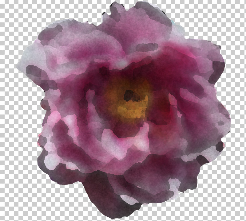 Artificial Flower PNG, Clipart, Anemone, Artificial Flower, Cut Flowers, Flower, Magenta Free PNG Download