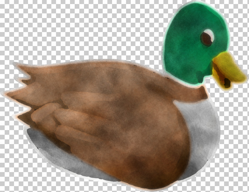 Duck Mallard Ducks, Geese And Swans Water Bird Bird PNG, Clipart, Bird, Duck, Ducks Geese And Swans, Goose, Hunting Decoy Free PNG Download