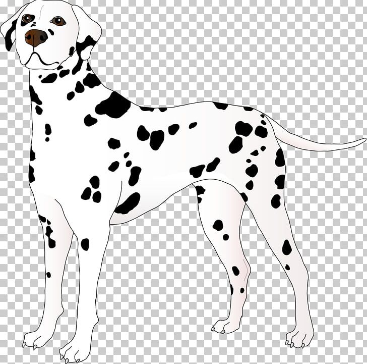 Dalmatian Dog Puppy Animal Non-sporting Group PNG, Clipart, Animal, Animal Figure, Animals, Black And White, Canidae Free PNG Download