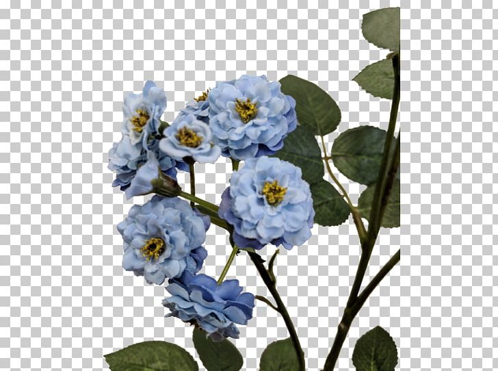 Floral Design Cut Flowers Rose Family PNG, Clipart, Blue, Branch, Cut Flowers, Flora, Floral Design Free PNG Download